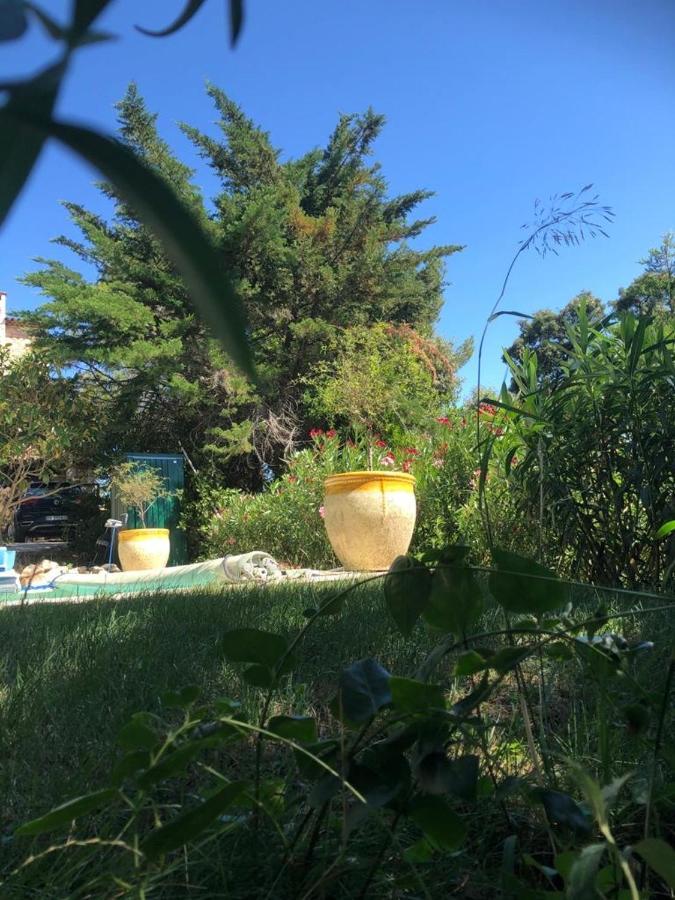 Oasis des lavandes Villeneuve-lès-Avignon Extérieur photo