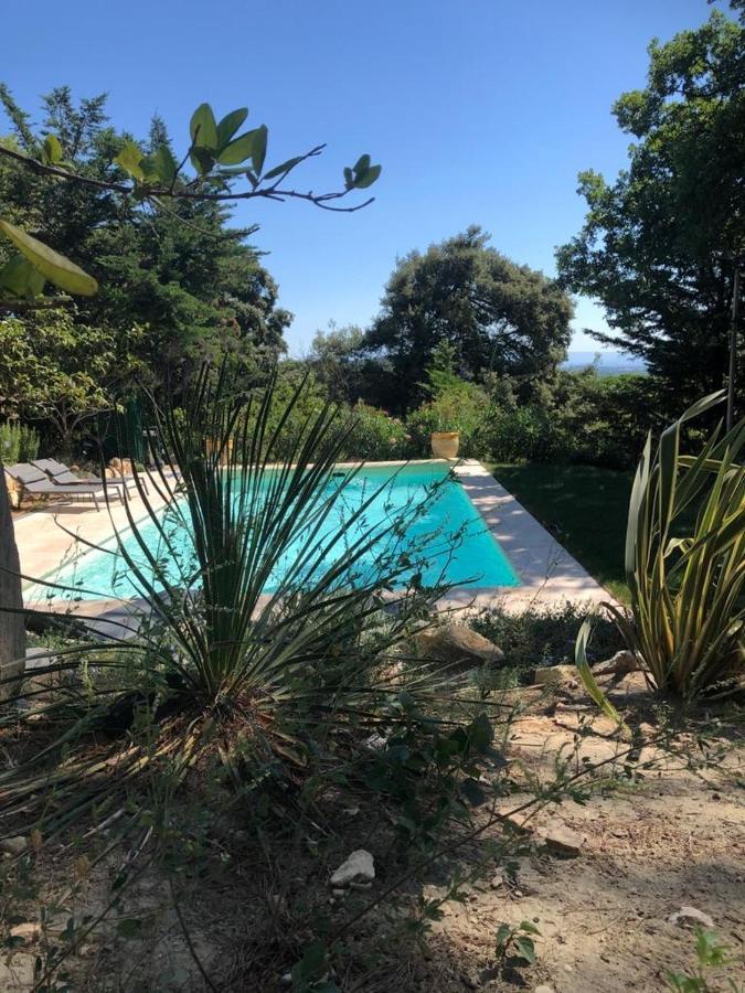 Oasis des lavandes Villeneuve-lès-Avignon Extérieur photo